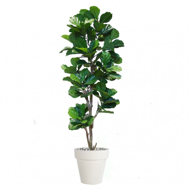 Planta semi-artificiala Ila, Ficus Lyrata Steep Tree Green - 200 cm